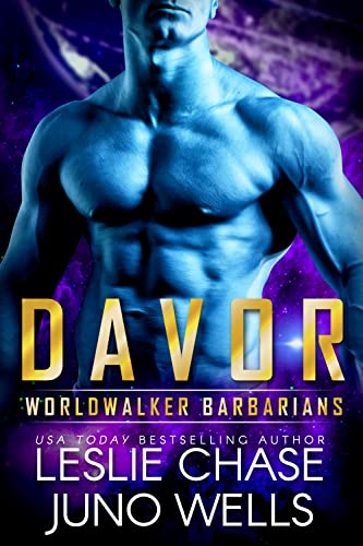Davor book cover