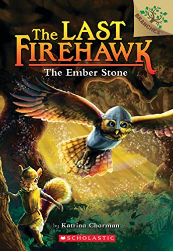 The Ember Stone book cover
