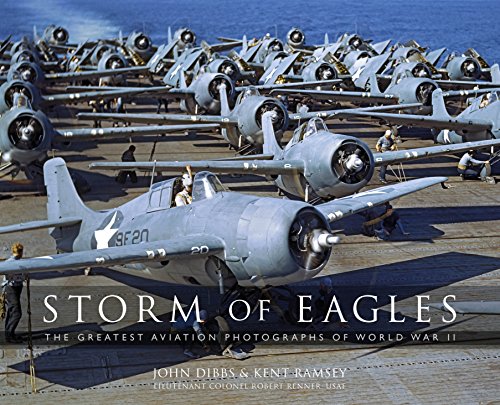 Storm of Eagles book cover