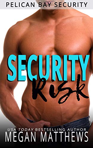 Security Risk book cover