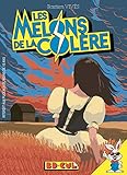 Les Melons De La Colre Bd Cul T 4