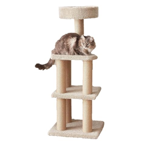 Amazon Basics Cat Tree - Indoor Cat &amp; Kittens Multi-Level Climbing Activity Tower with Scratching Posts, Large (45.9