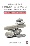 Healing The Fragmented Selves Of Trauma Survivors Overcoming Internal Selfalienation