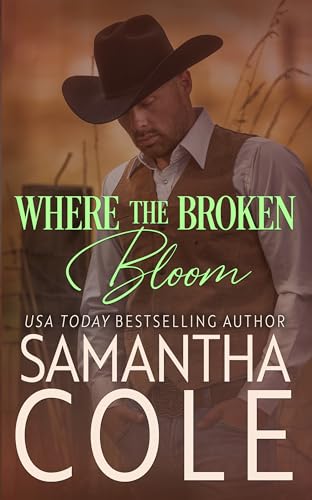 The Road to Solace / THe Friar cover