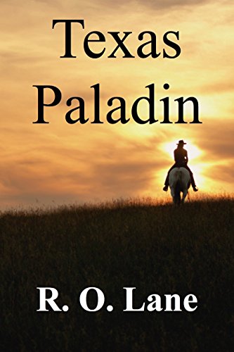 Texas Paladin book cover