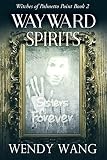 Wayward Spirits Witches Of Palmetto Point Book 2