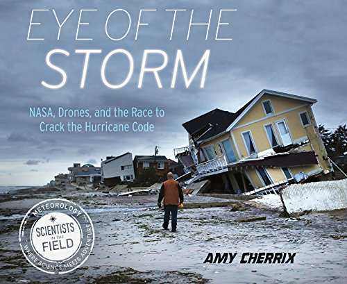 Eye of the Storm (By: Amy Cherrix) cover