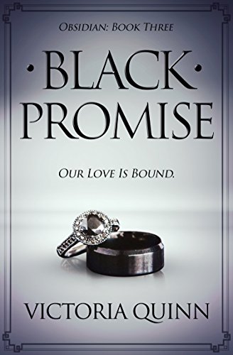 Black Promise book cover