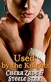 Used By The Knights (Medieval Dungeon Discipline Book 6)
