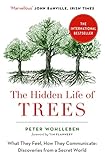 The Hidden Life Of Trees The International Bestseller What They Feel How They Communicate English Edition
