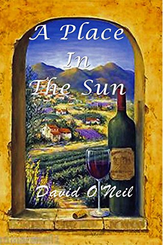 A Place in the Sun book cover