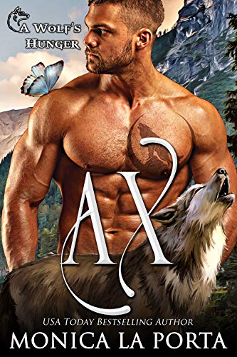 Ax book cover