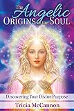 The Angelic Origins Of The Soul Discovering Your Divine Purpose