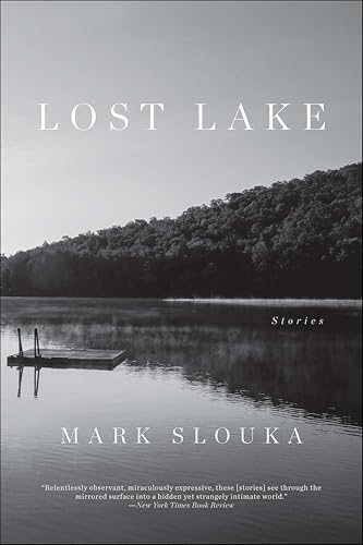 Lost Lake book cover