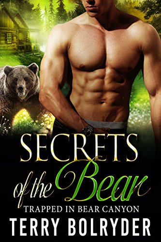 Secrets of the Bear book cover