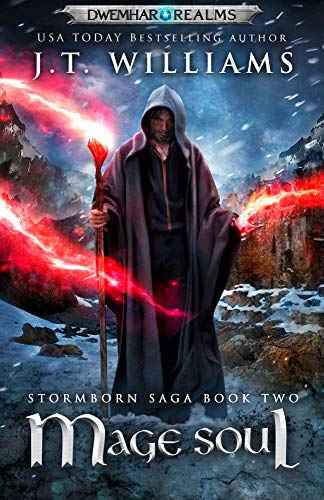 Mage Soul book cover