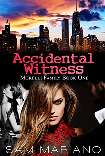Accidental Witness book cover