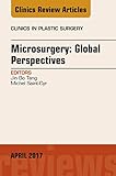 Microsurgery Global Perspectives An Issue Of Clinics In Plastic Surgery Ebook The Clinics Surgery English Edition