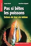 Pas Si B%C3%AAtes Les Poissons. Sc%C3%A8nes De Leur Vie Intime (regards)