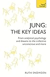 Jung The Key Ideas From Analytical Psychology And Dreams To The Collective Unconscious And More Ty Philosophy English Edition