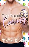 The Bunny is Coming (short story)
