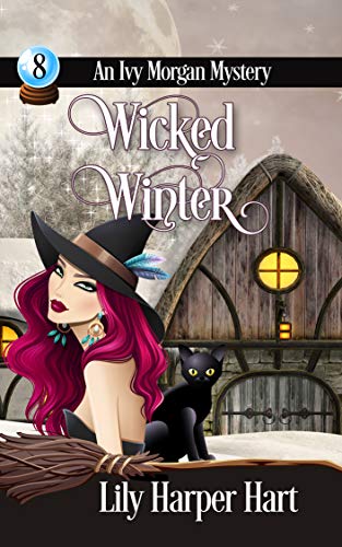 Wicked Winter book cover
