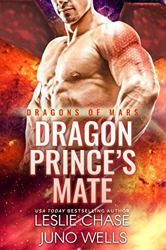 Dragon Prince's Mate book cover