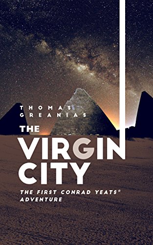 The Virgin City book cover