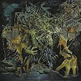 Murder Of The Universe (2017)