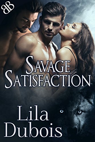 Savage Satisfaction book cover