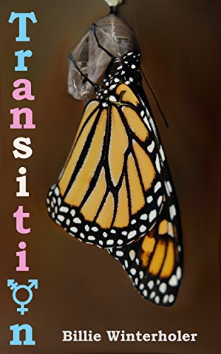 Cover of Transition by Billie Winterholer
