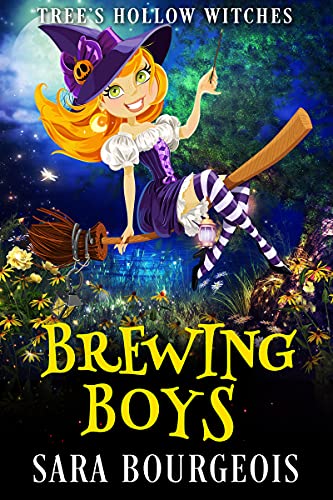 Brewing Boys book cover