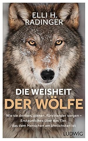 Die Weisheit der alten Völker: Die Bedeutung der mündlichen Überlieferung in der modernen Welt Klaus-Jürgen Bruder