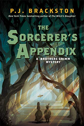 The Sorcerer's Appendix book cover