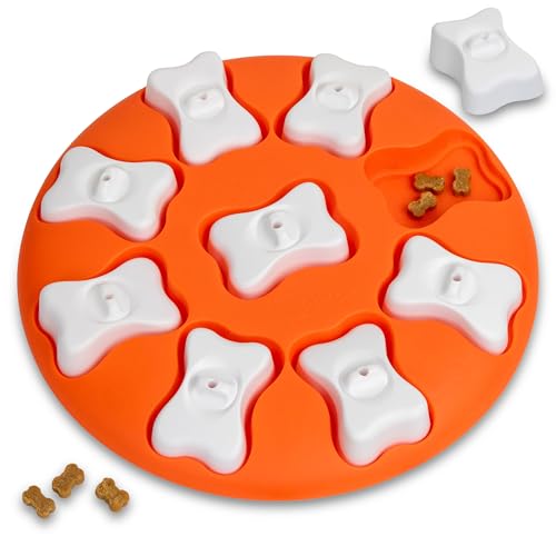 Outward Hound Interactive Puzzle Game