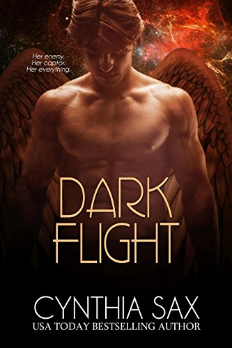 Dark Flight book cover