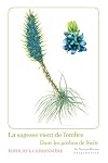 La sagesse vient de lโombre: dans les jardins de Sicile