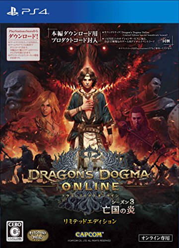 ドラゴンズドグマシリーズで一番面白かった作品を決める人気投票＆ランキング　2位　ドラゴンズドグマ オンラインの画像