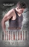 Misdemeanor (Responsible Adult, #1)