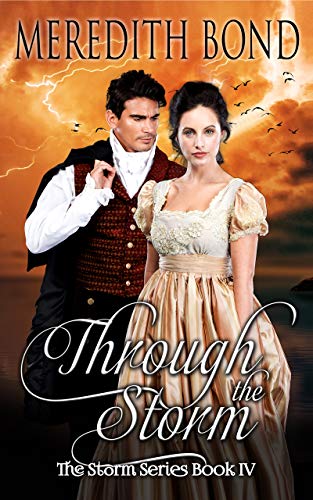 Through the Storm book cover