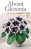 About Gloxinia When Do Gloxinia Begin To Fade English Edition