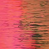 Dead Reflection