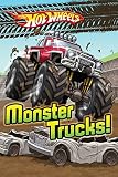 Monster Trucks Hot Wheels