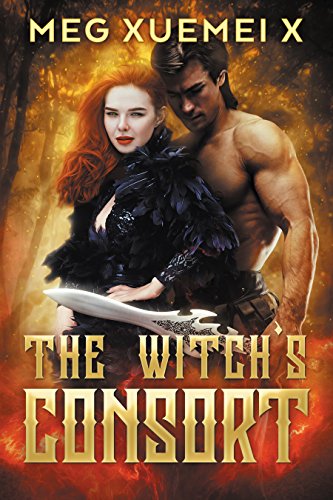 The Witch's Consort book cover