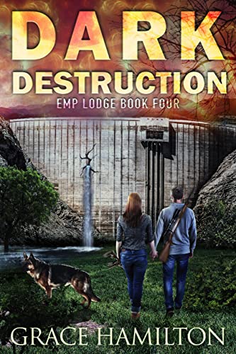 Dark Destruction book cover