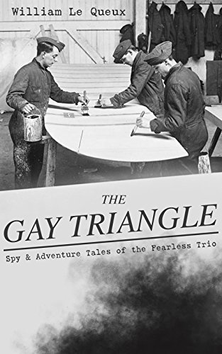 The Gay Triangle cover