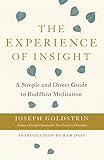 The Experience Of Insight A Simple And Direct Guide To Buddhist Meditation Shambhala Dragon Editions English Edition