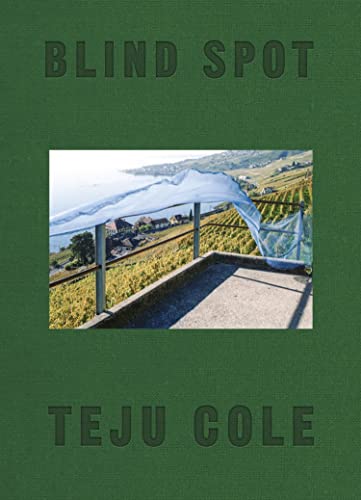 Blind Spot book cover
