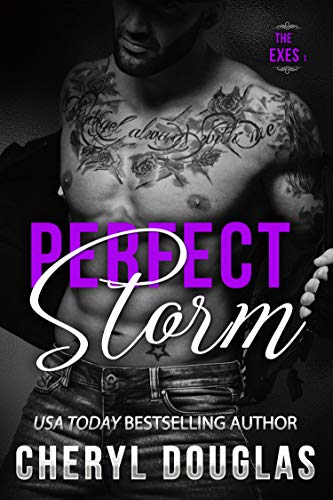 Perfect Storm book cover