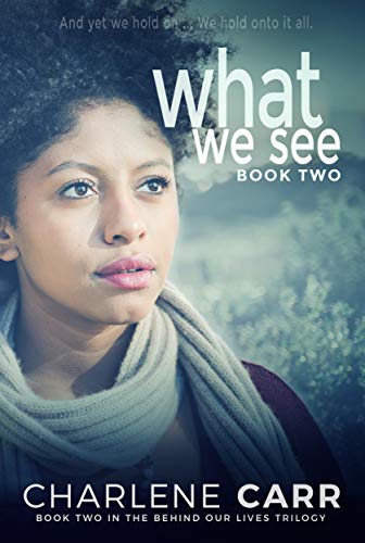 What We See book cover